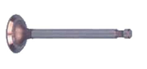 1012513 Intake Valve 341cc Engine - Club Car Gas 1984 to 1991