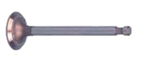 1017444 Intake Valve - Club Car DS Gas 1996 FE350