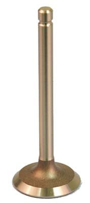 72507-G01 Intake Valve 295cc and 350cc Engines - Ezgo 1996 to 2003 4 Cycle